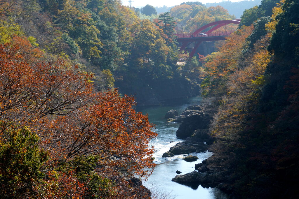 紅葉色付く高津戸峡