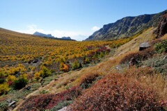 黄金色の湯ノ平