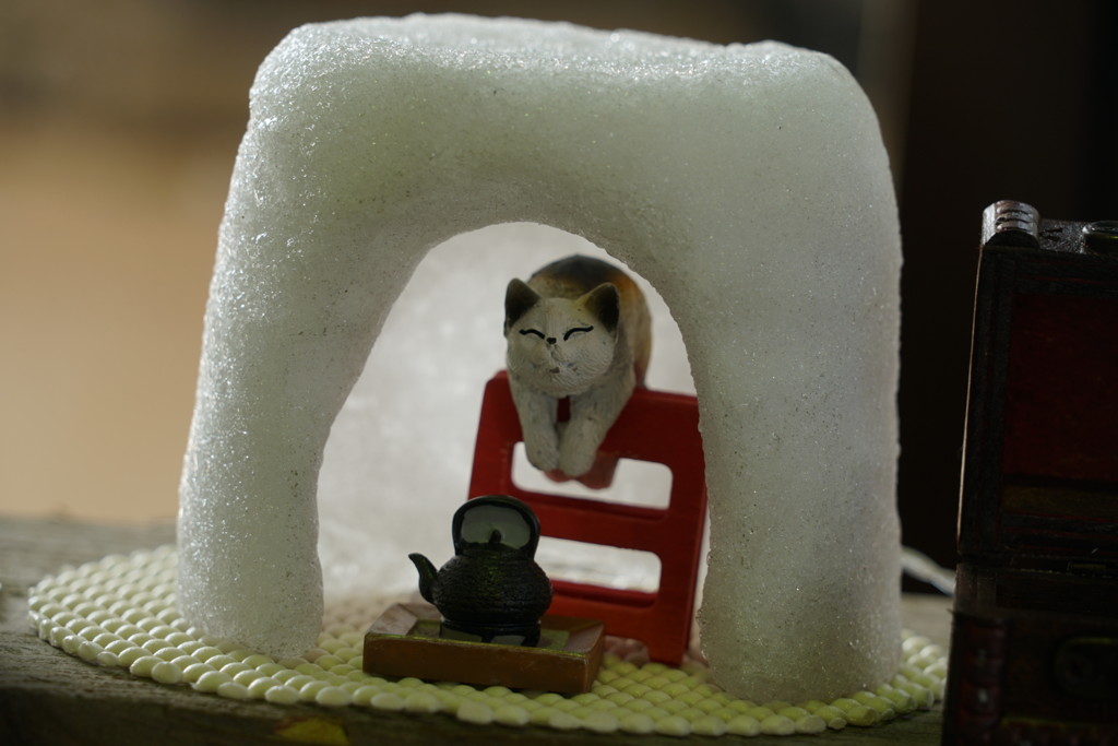 ほっこりだニャ