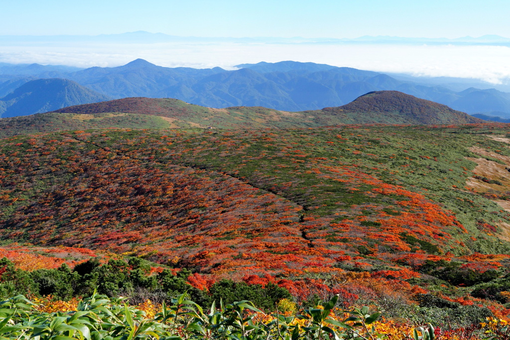秋の栗駒山