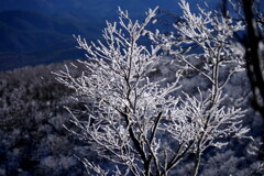 白く輝いて