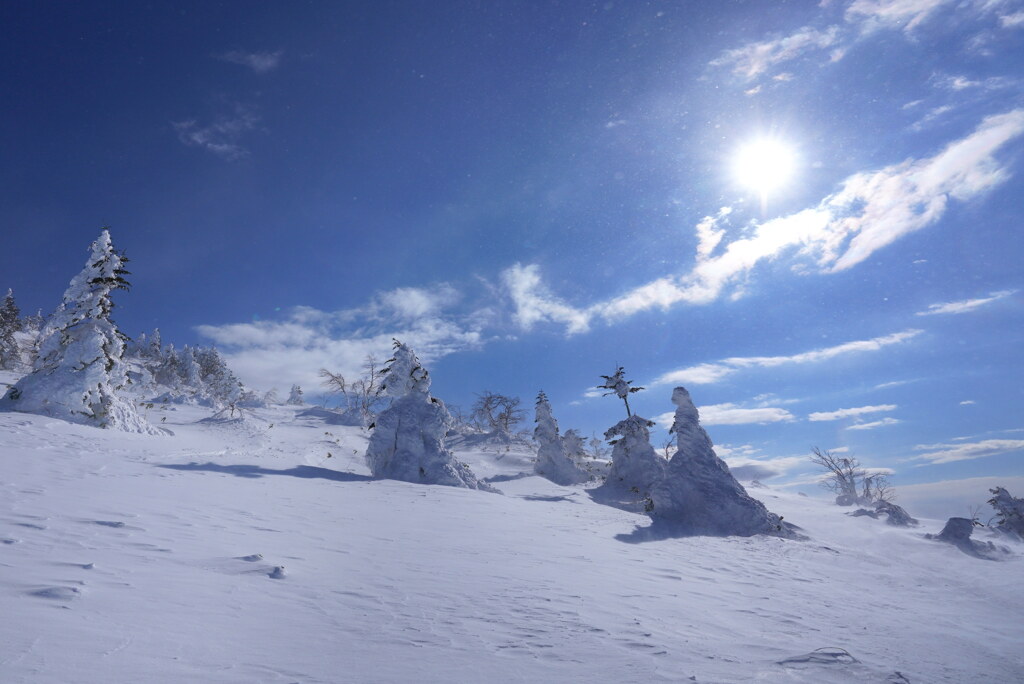 雪煙霞むモンスター