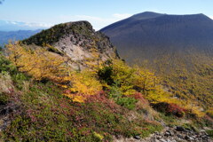 カラマツ染まる浅間ゴールド