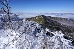 霧氷の四阿山