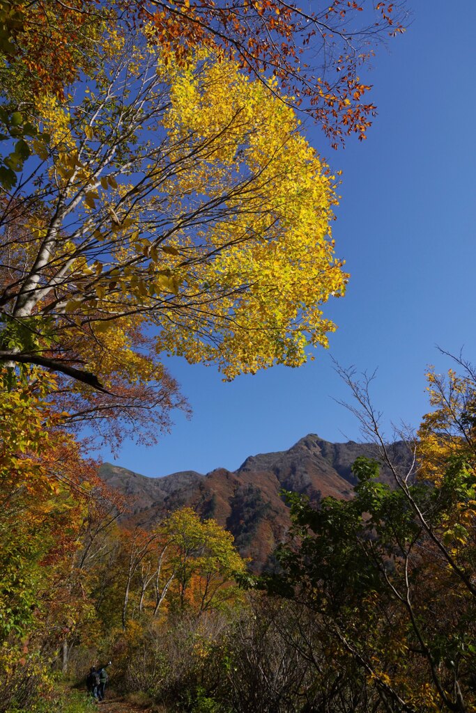 錦秋の谷川　２