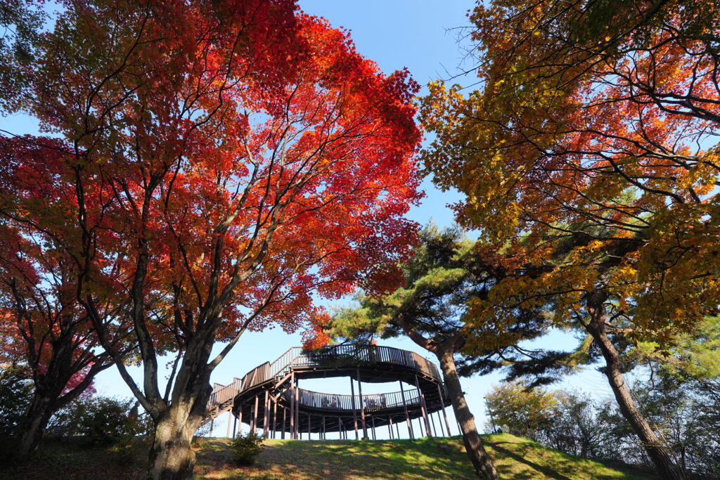 もみじ展望台