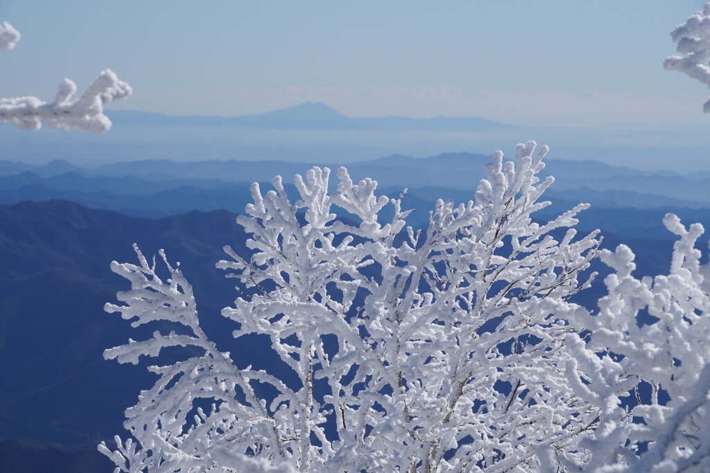 霧氷と筑波山　２