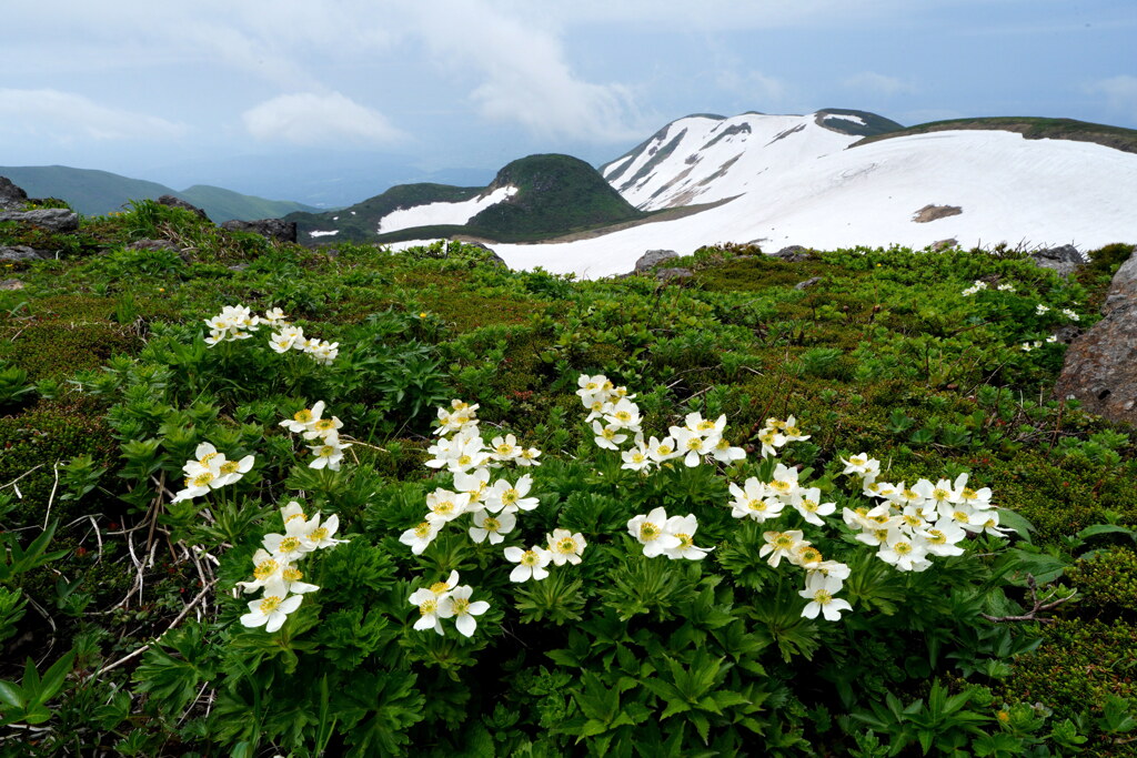残雪の笙ヶ岳と