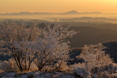 静かなる朝