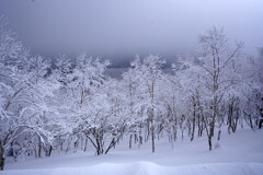 夢氷