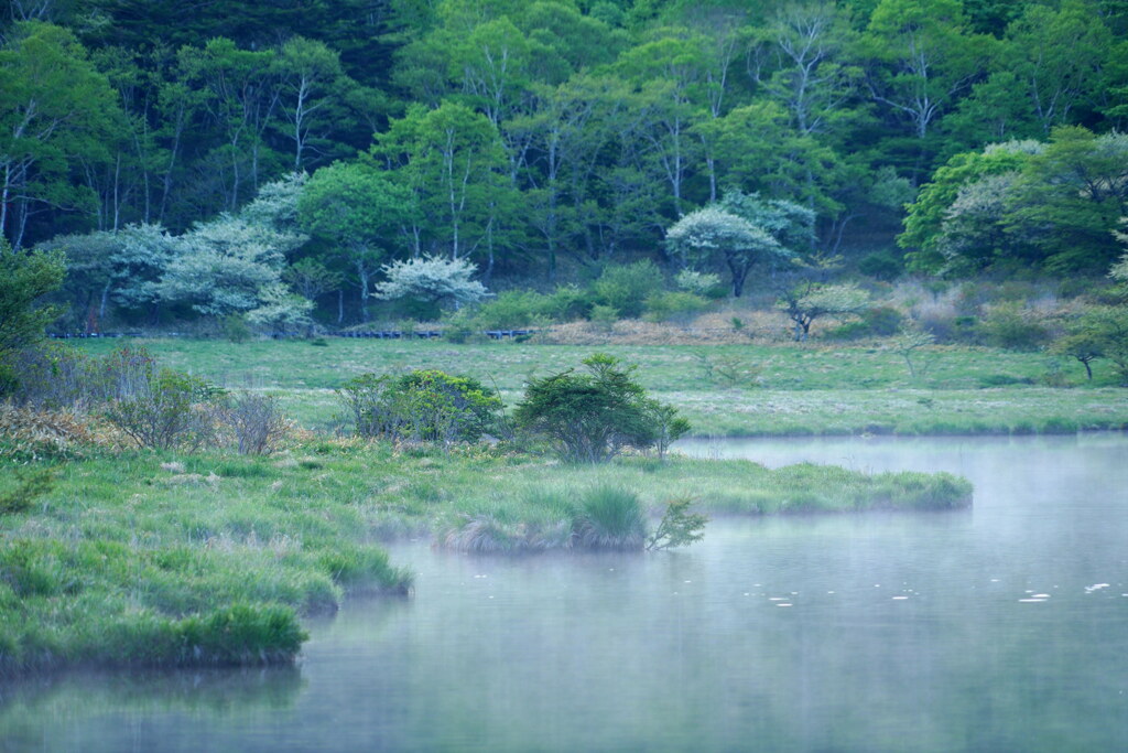 川霧煙る覚満淵