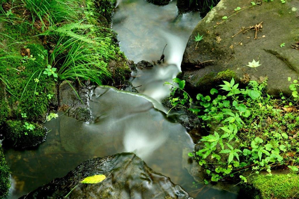 静かな小川