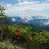 梅雨の晴れ間に