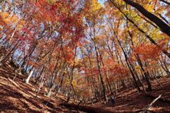 両手広げる照葉坂