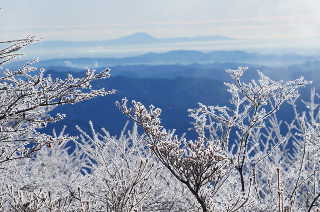 霧氷に浮かぶ筑波山