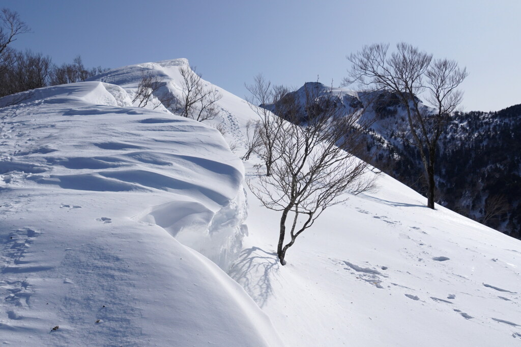 雪の造形