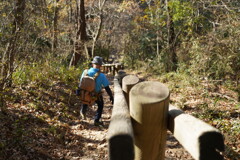 里山でも侮れない