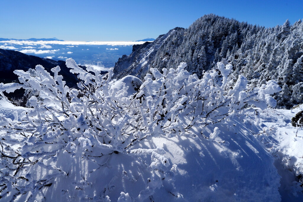 霧氷珊瑚の黒斑山