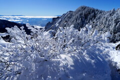 霧氷珊瑚の黒斑山