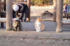 ご飯タイム