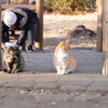 ご飯タイム