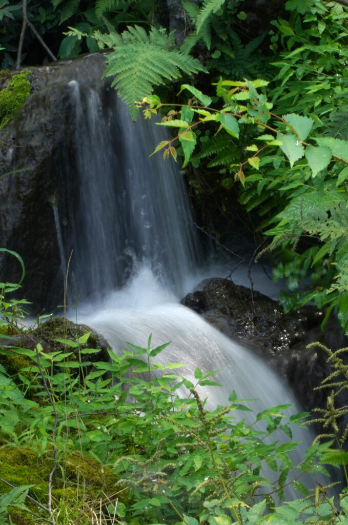 気分だけでも涼しく