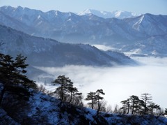 雲海迫る尾根
