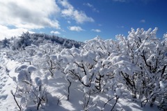 綿雪の尾根