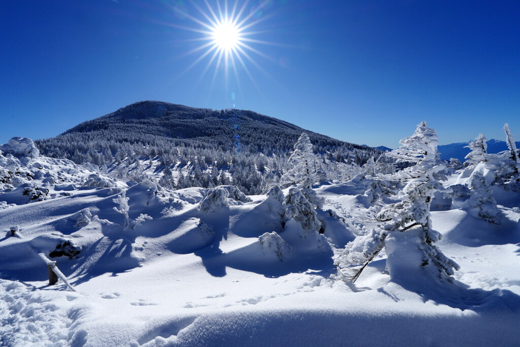 雪クリームの坪庭