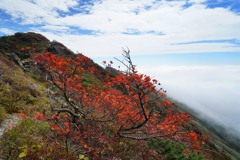 秋色付く谷川