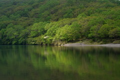 光差す