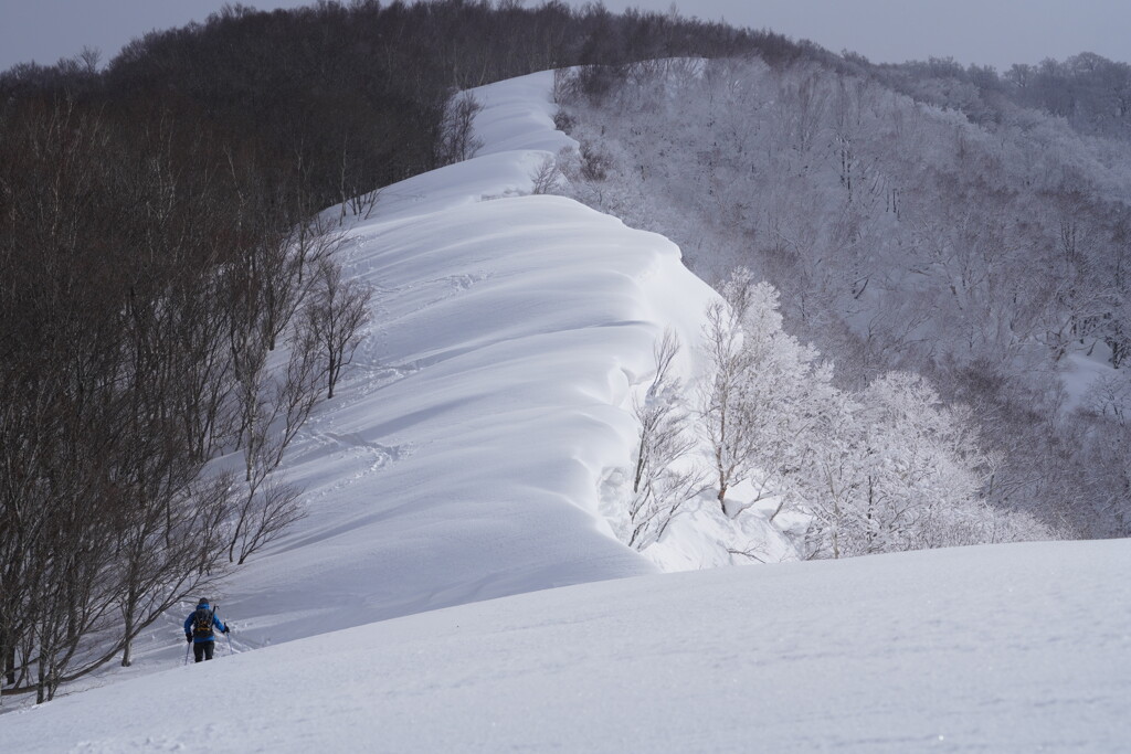 雪庇を越えて