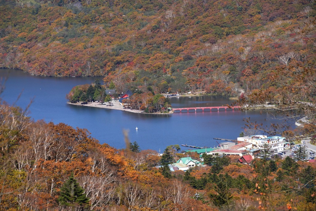錦囲まれる赤城神社
