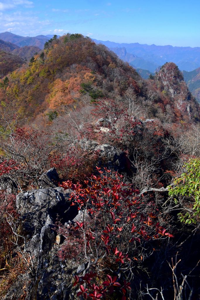 紅葉の岩稜を行く