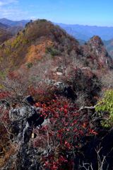 紅葉の岩稜を行く