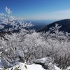 霧氷の咲く