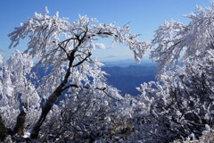 霧氷の波
