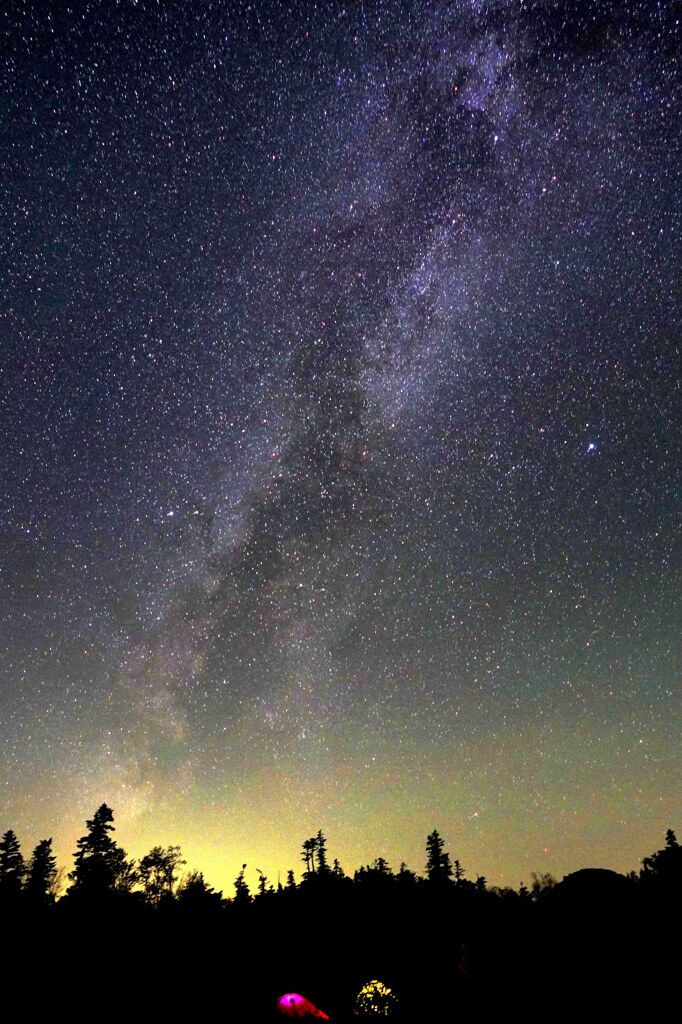 星降る夜
