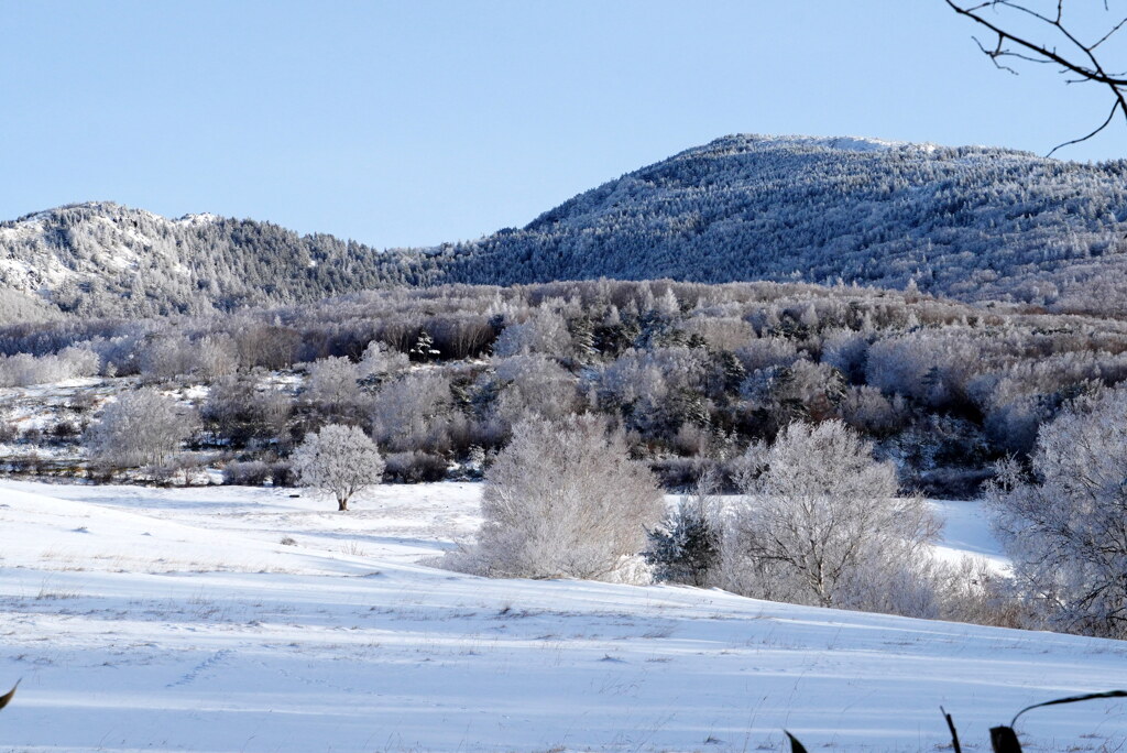 霧氷化粧の四阿山