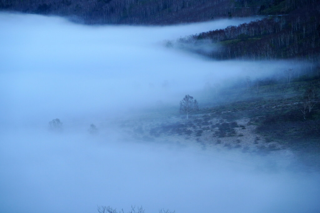 湖畔漂う朝霧