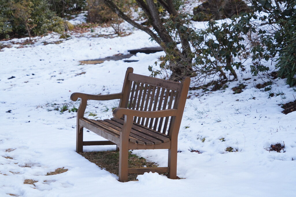 雪見ベンチ
