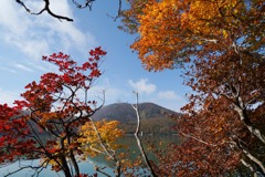 紅葉の小沼湖畔