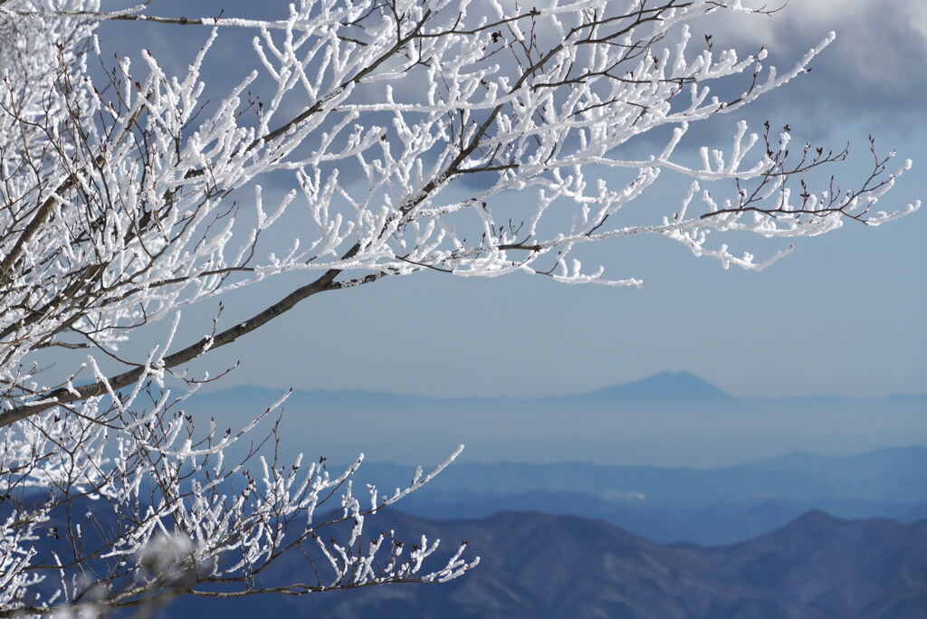 霧氷と筑波山