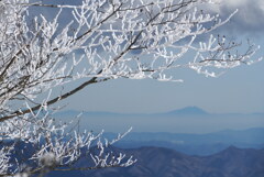 霧氷と筑波山