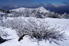 霧氷の湯ノ丸山