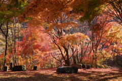 紅ベンチ