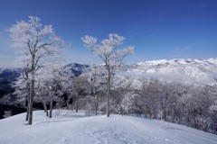 霧氷花咲く東谷山