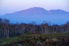浅間山モルゲンロート