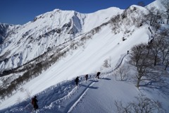 一筋のライン