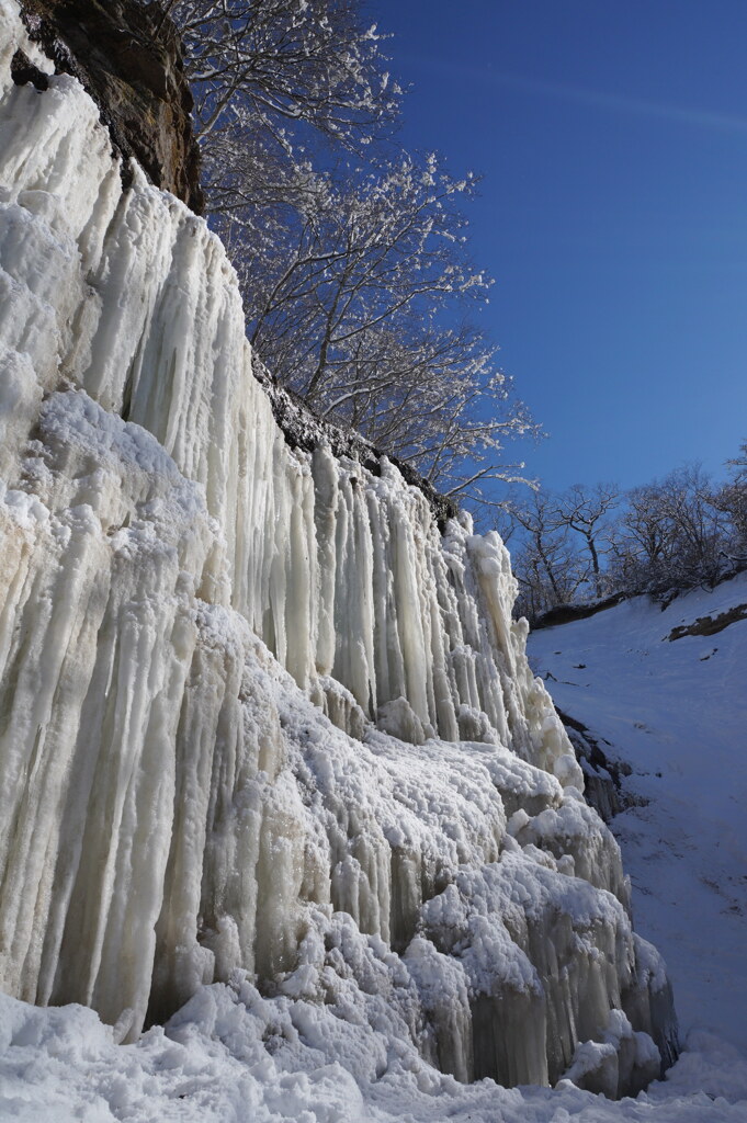 小滝氷瀑　氷のカーテン